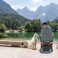 ELECTRIC WHEELCHAIR AVIDI